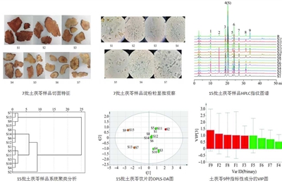 我院中藥團(tuán)隊(duì)飲片質(zhì)量控制研究成果陸續(xù)發(fā)表